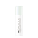 Finishing Spray 75ml