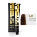 LENDAN A.P. ABSOLUTES 6/66 70 ML